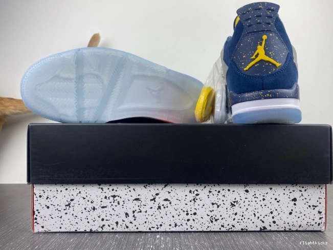 4 Michigan Jordan Air (PE) Retro AJ4-1036660 1209